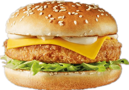 Br. veg kipburger speciaal